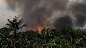 Amazon Rainforest On Fire
