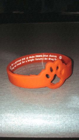 Fun to be Drug Free