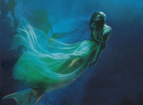 Wonders Undersea
