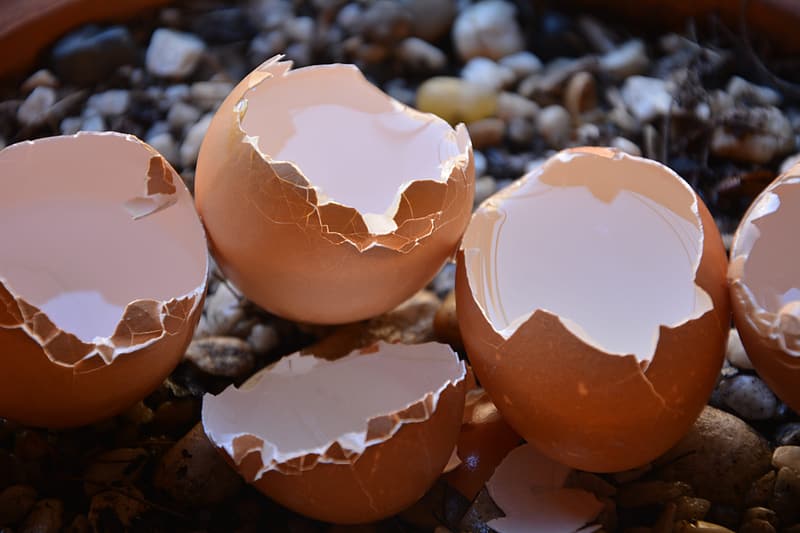 Walking on Eggshells