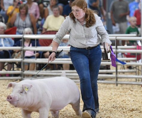 Are County 4-H Shows Becoming Too Much?