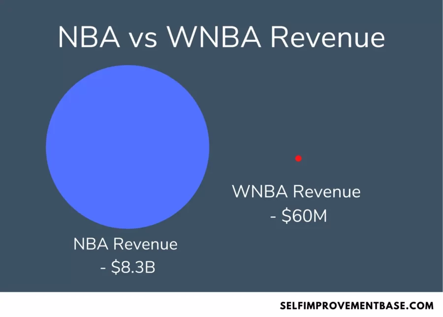 Is the NBA vs. WNBA Pay Gap Justified?