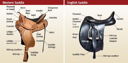 Would You Prefer The English or Western Saddle?