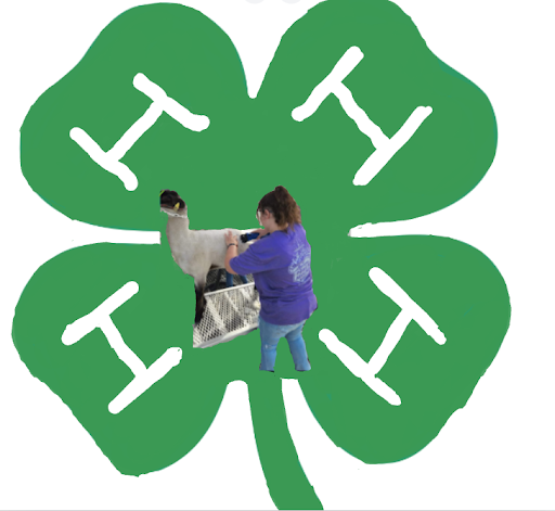 Why Kids Should Consider Doing 4H