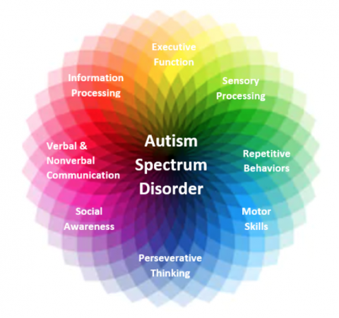 What Really Is ADHD and Autism?