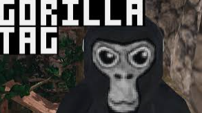 Oculus: Gorilla Tag