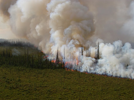 2021 USFWS Fire Employee Photo Contest Category: Landscape and FireA wildfire burns on Tetlin National Wildlife Refuge in Alaska.More: Original public domain image from Flickr