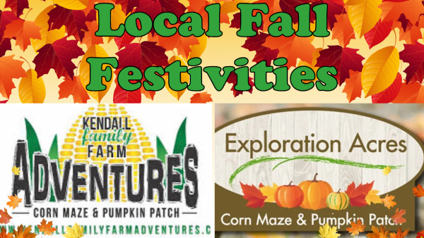 Local Fall Festivities