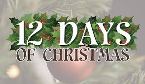 12 Days of Christmas Dress Up Days