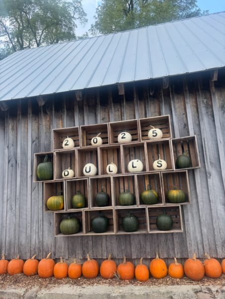My Perfect Fall Day at Dull’s Tree Farm & Pumpkin Patch