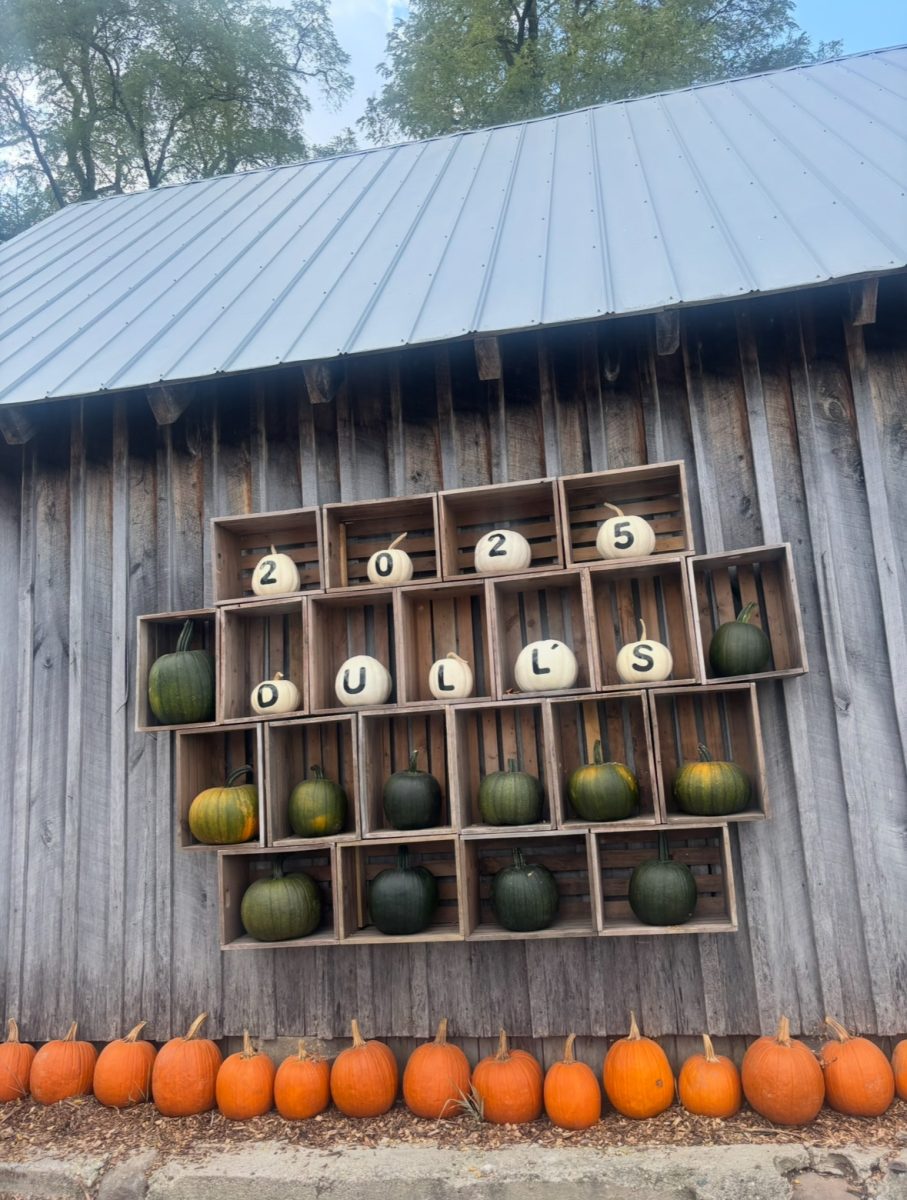 My Perfect Fall Day at Dull’s Tree Farm & Pumpkin Patch