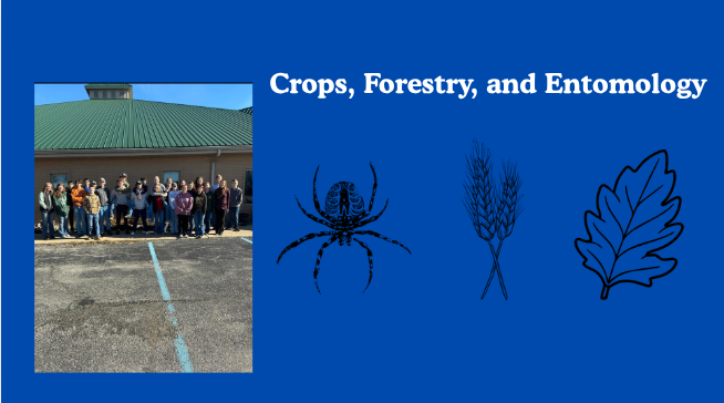 Rooted in Knowledge: Students Compete in Crops, Forestry, and Entomology Contest